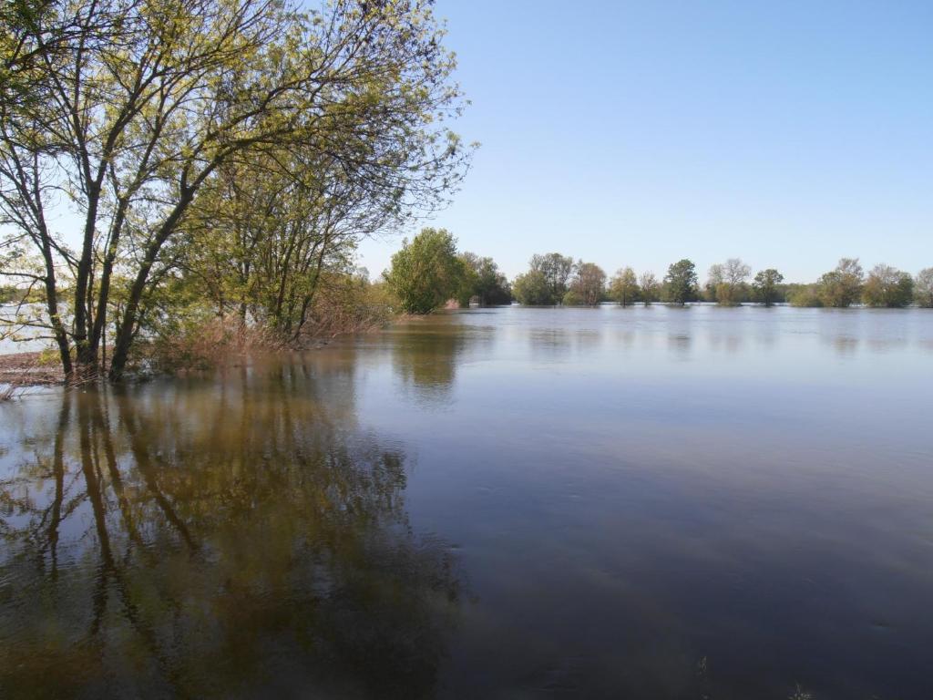 Chateau Sainte Marie Hotel Dompierre-sur-Charente Zewnętrze zdjęcie